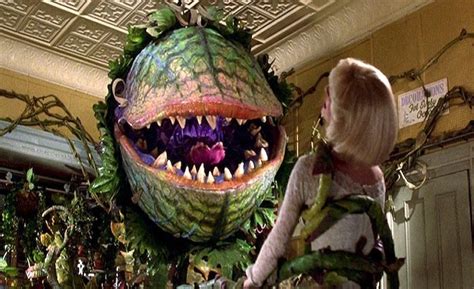 little shop of horrors plant name.